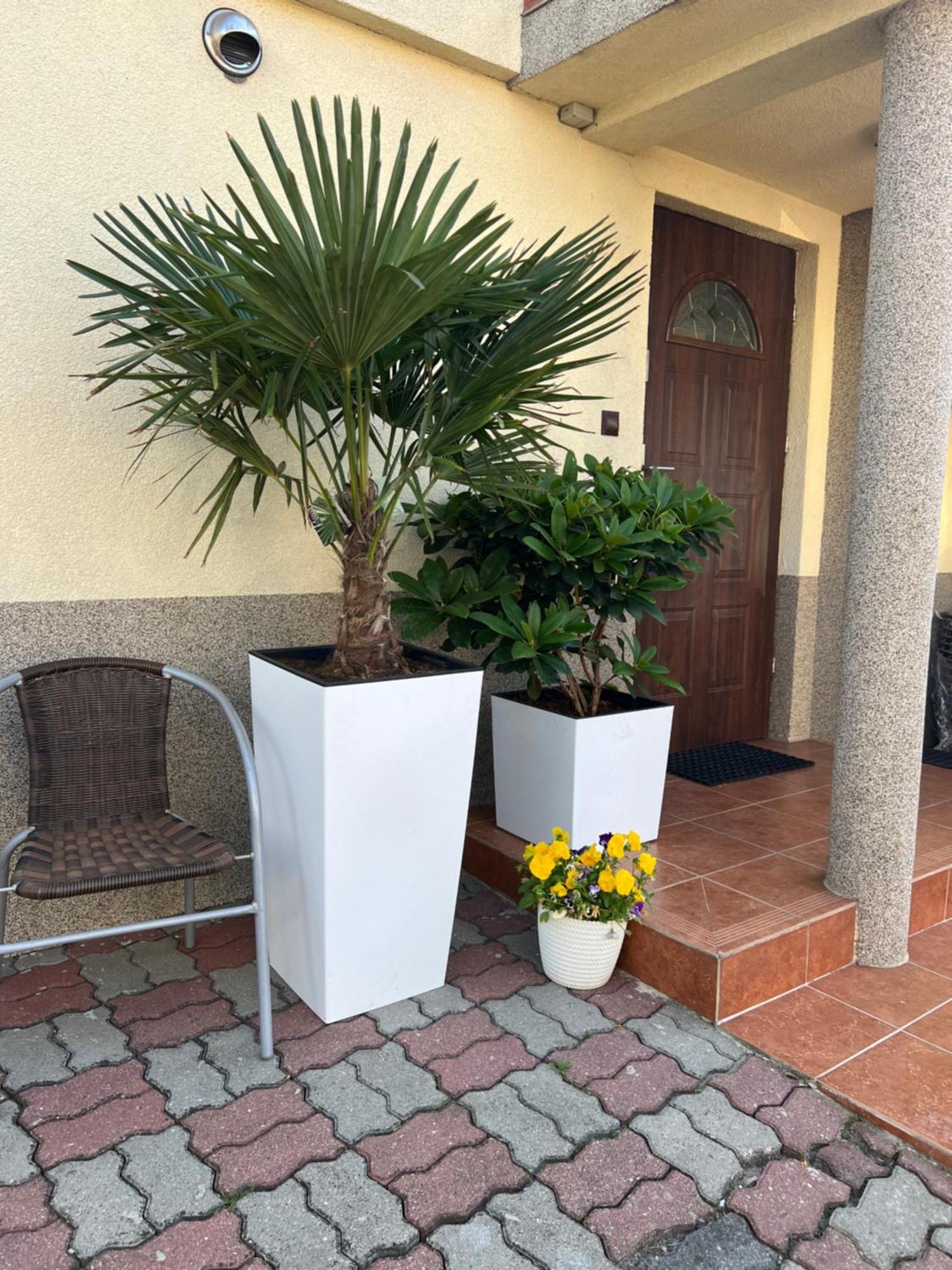 Pokoje U Malgosi Miedzyzdroje Exteriör bild
